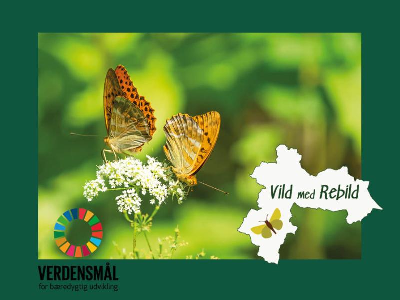 Foto: colourbox.dk med logoer fra Vild med Rebild & Verdensmål