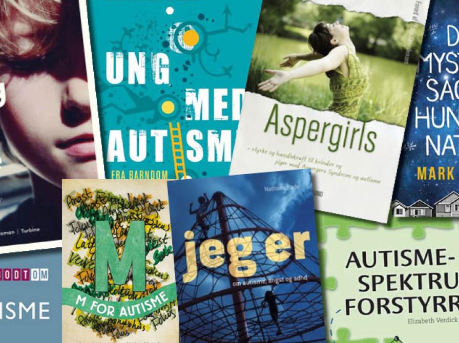 Forsider på flere af de anbefalede bøger